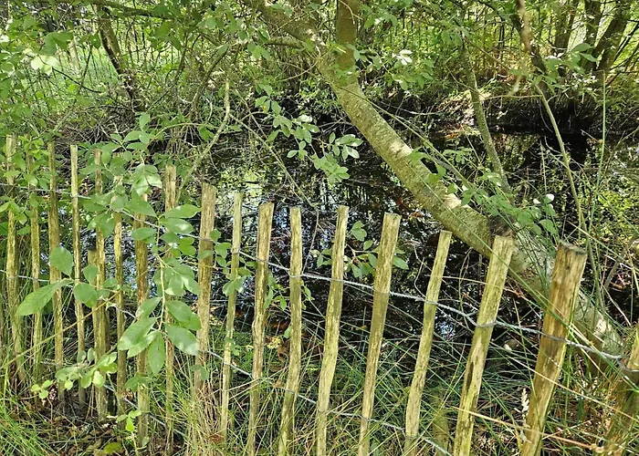 Fan026-fano-hedesvinget-12 Ferienhaus